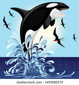 Orca Killer Whale jumping out of Ocean Vector illustration 