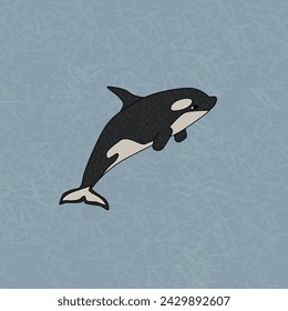 Orca or killer whale, the largest member of the oceanic dolphin family. Vector cartoon hand drawn illustration of the animal in Antarctica. Polar texture outline childish illustration