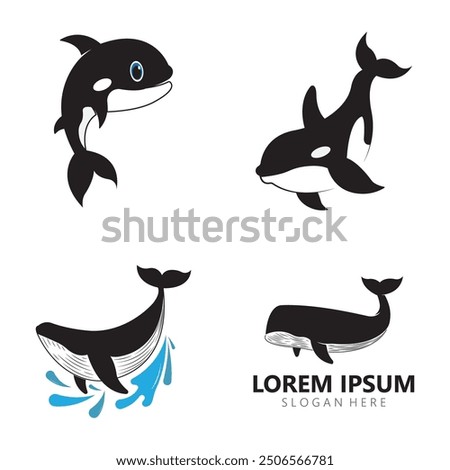 Orca Killer Whale Logo Icon Vector illustration design