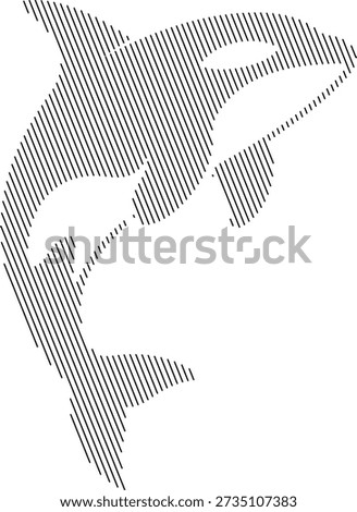 Orca killer whale outline with diagonal stripes, Whale line art illustration