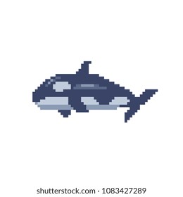 Orca killer whale pixel art icon grampus isolated vector illustration. Game assets 8-bit sprite. Design stickers, logo, mobile app, embroidery.