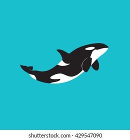 emblema del logo de la bandera de orcas asesina en una ilustración vectorial de fondo azul