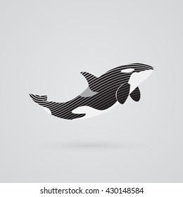 orca killer whale strips sign logo emblem vector illusration on white background