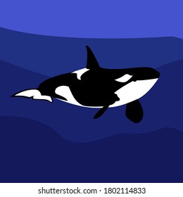Orca Killer Whale Underwater Vector Illustration