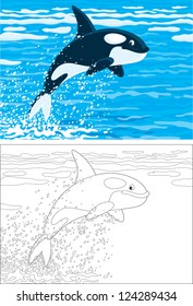 orca leaping out of the water in a polar sea