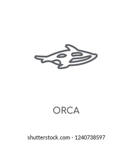 Orca linear icon. Modern outline Orca logo concept on white background from animals collection. Suitable for use on web apps, mobile apps and print media.