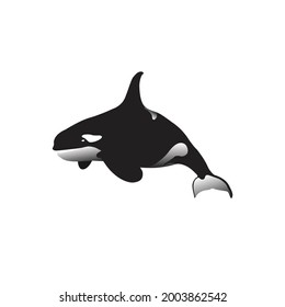 Orca logo vector and symbol for your illustration. whale silhouette mascot