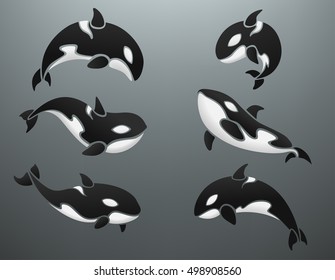 Orca logotype set vector illustration