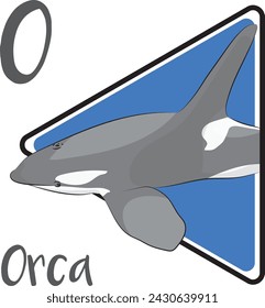 Orca is a marine mammal. Orcas are highly intelligent and able to coordinate hunting tactics. The dorsal fin of a male orca is up to two meters tall. Often referred to as wolves of the sea.