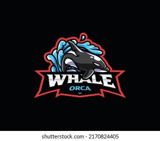 Orca mascot logo design. Orca whale vector illustration. Logo illustration for mascot or symbol and identity, emblem sports or e-sports gaming team