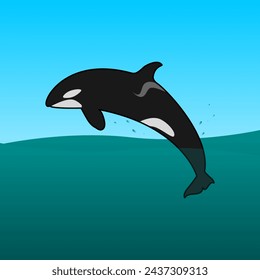 Orca in the Ocean - Brazil - Vector illustration of an orca jumping in the ocean