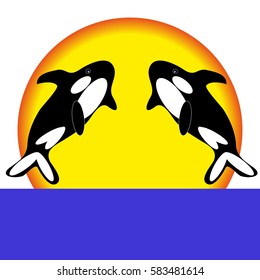 Orca on white background. Vector illustration.