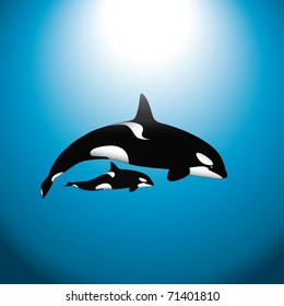 Orca Baby Images Stock Photos Vectors Shutterstock