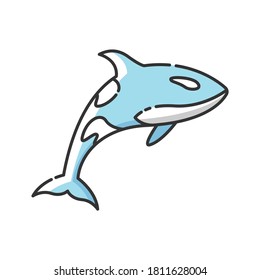 Orca RGB color icon. Dangerous swimming animal, sea life, ocean fauna. Carnivore aquatic creature, underwater predator. Killer whale isolated vector illustration
