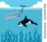 orca and sperm whales with seaweed