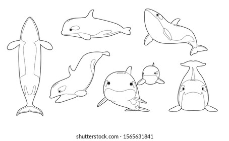 Orca Various Cartoon Vector Coloring Book