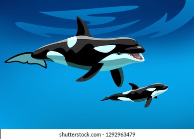 orca whale with its child in the ocean. killer whales under water