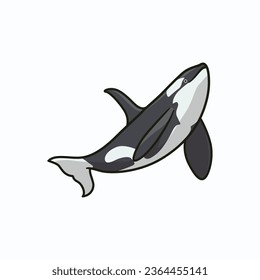 Orca Whale cute Vector Illustration sticker by Rachim