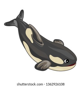 Orca whale icon. Cartoon of orca whale vector icon for web design isolated on white background