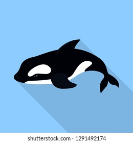 Orca whale icon. Flat illustration of orca whale vector icon for web design