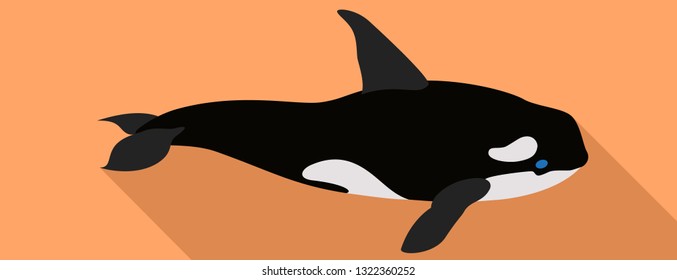 Orca whale icon. Flat illustration of orca whale vector icon for web design