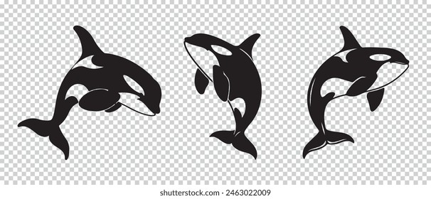 Orca Whale Icon Set - Vector Illustrations Isolated On Transparent Background