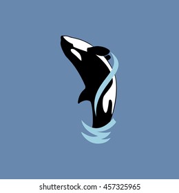 orca whale jumping on blue background vector illustration