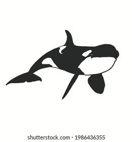 Orca whale or killer whale vector silhouette image as editing material for posters, banners, photos, logos, and others.