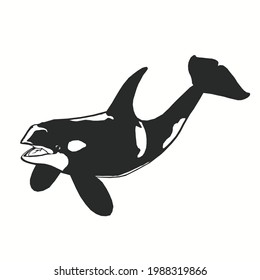 Orca whale or killer whale vector silhouette image as editing material for posters, banners, photos, logos, and others.