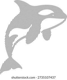 Orca whale line art with diagonal fill, Stylized killer whale graphic