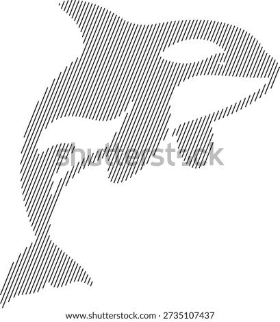 Orca whale line art with diagonal fill, Stylized killer whale graphic