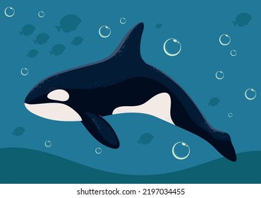 orca whale marine life with bubbles