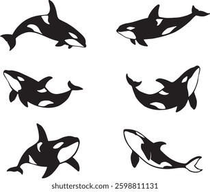 
Orca Whale Silhouette Collection set
