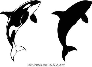 Orca Whale Silhouette and Outline Vector Illustration Killer Whale