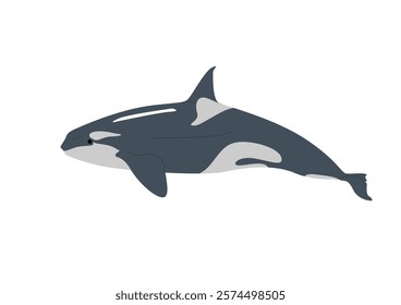 Orca Whale Simple Vector Illustration, Minimalist black and white vector illustration of an orca whale in a clean and simple design.