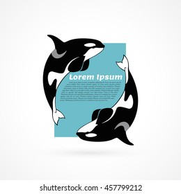 orca whale template sample poster frame aquapark on white background