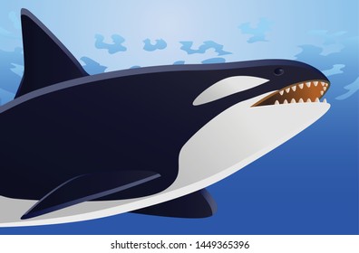 Orca whale under the sea vector
