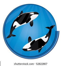 orca whales blue circle icon