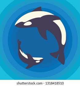 orca whales flat design character illustration cartoon