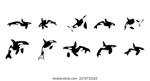 Orca whales. Sea animal killer whales. Marine animal in Scandinavian style.