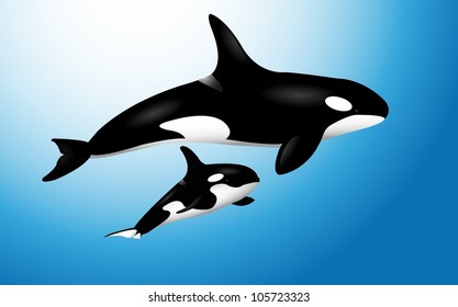 Orcas