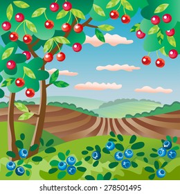 Orchard. Fruit garden. Cherry tree. Berry cultivating. Summer landscape. Blueberry field.