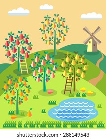 Orchard. Fruit garden. Pear tree with ladder, pond, . Summer landscape. Blueberry field.