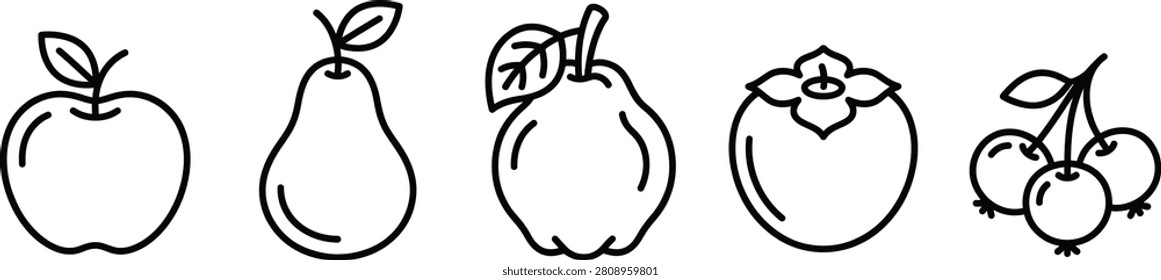 Orchard Fruit Line Art Icon Set, Apple Pear Quince Persimmon Crabapple Outline Vectors