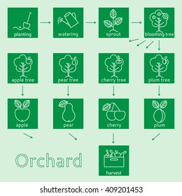 Orchard icons set. It can be used as poster.