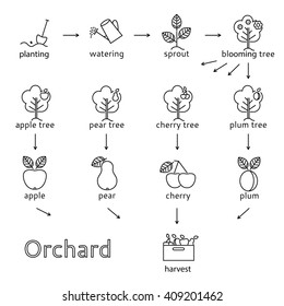 Orchard icons set. It can be used as poster.