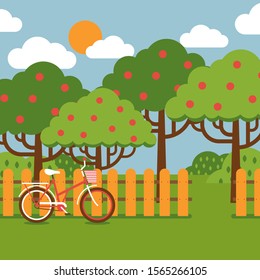 Orchard landscape in flat style, vector illustration. Green garden with fruit trees, park in summer day. Bicycle at wooden fence, entrance to countryside orchard. Sunny day garden, bike ride to nature