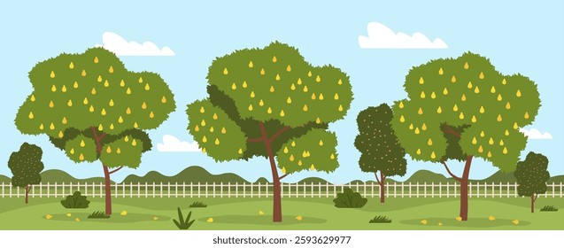 Orchard with pear trees and ripe pears. Fruit plant in garden. Agricultural landscape, summer season. Botanical green background. Natural background. Cartoon flat isolated vector concept