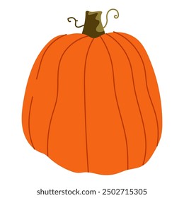 Orchard pumpkin vector illustration isolated on a white background.