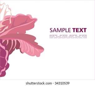 Orchid